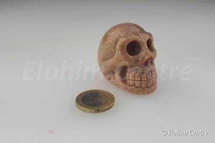Rhodoniet menselijke schedel 2 - human skull