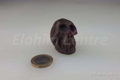 Rhodoniet menselijke schedel 1 - human skull